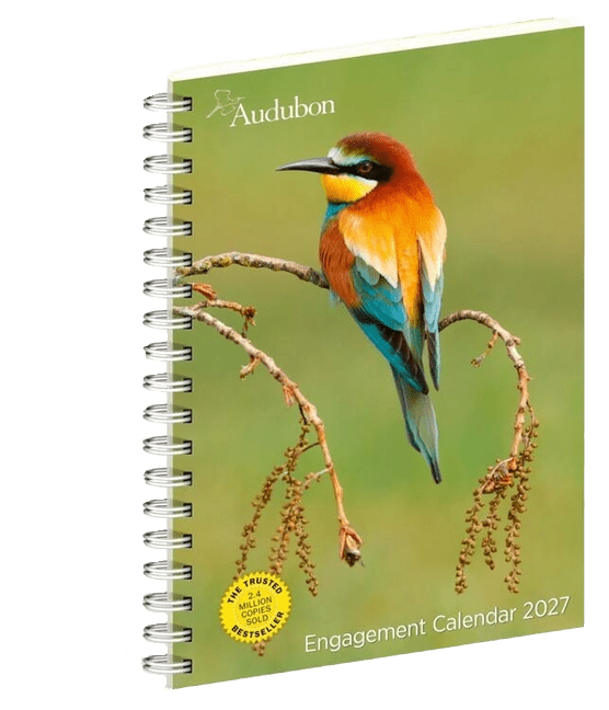 Audubon Engagement Calendar 2027: A Tribute to Nature and Its Spectacular Landscapes