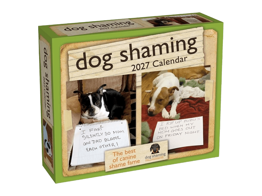 Dog Shaming 2027 Day-To-Day Calendar