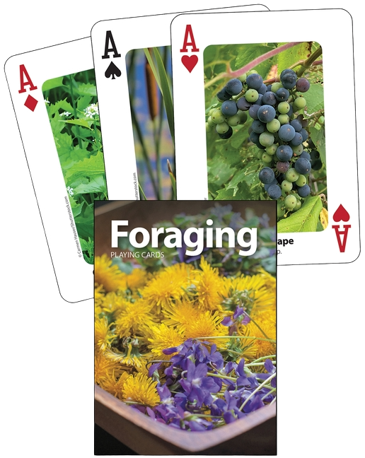Foraging Playing Cards