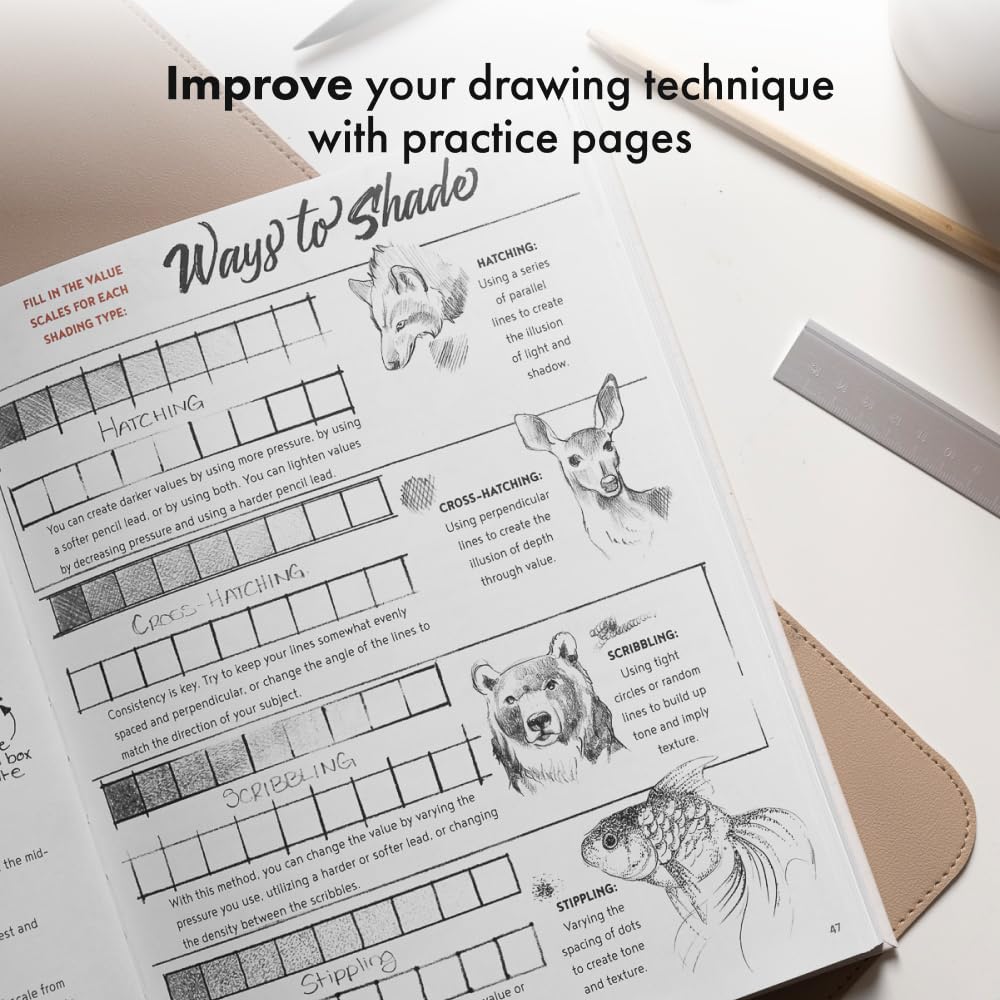 The Artist's Drawing Book