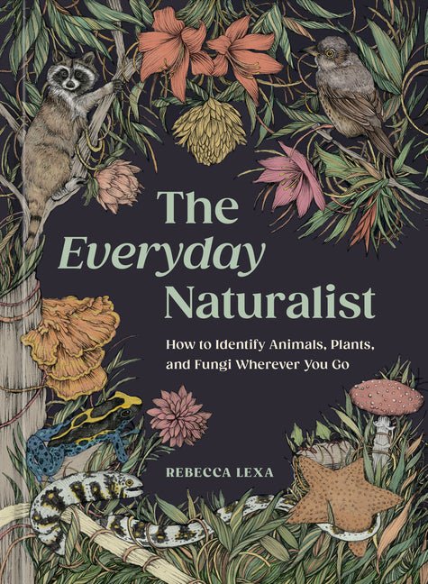 Everyday Naturalist: How to Identify Animals, Plants, and Fungi Wherever You Go - Ingram
