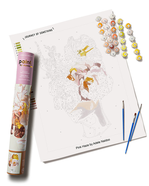 Pink Haze Paint by Numbers Kit & Canvas - DIY Adult Craft Kit - Artist Designed - Ingram