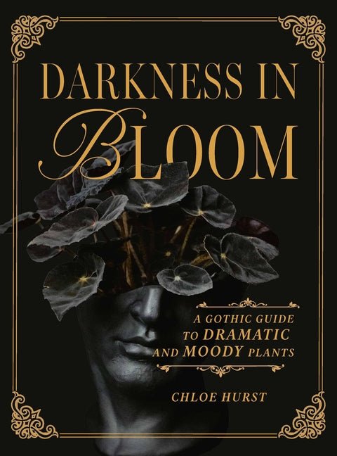 Darkness in Bloom: A Gothic Guide to Dramatic and Moody Plants