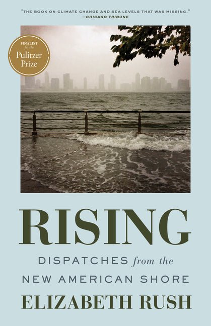 Rising: Dispatches from the New American Shore - Ingram