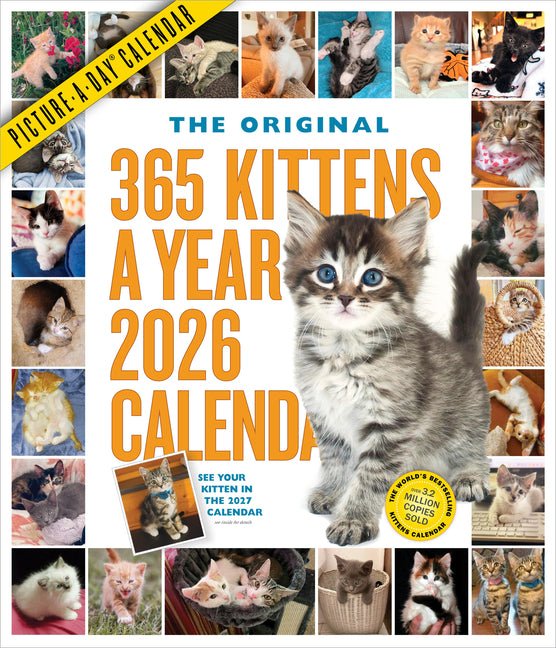 365 Kittens-A-Year Picture-A-Day(r) Wall Calendar 2026 - Ingram
