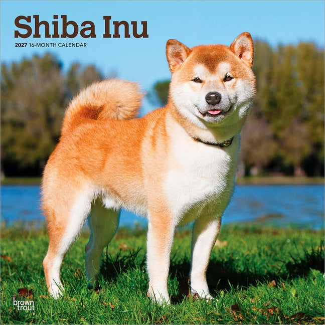 Shiba Inu 2027 12 X 24 Inch (Hanging) Monthly Square Wall Calendar Plastic-Free - Ingram
