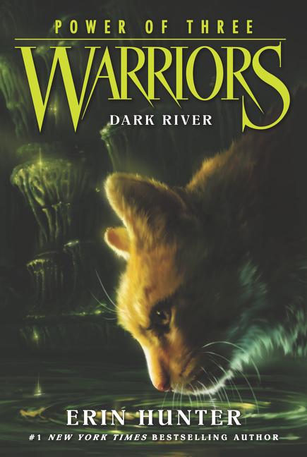 Warriors: Power of Three #2: Dark River - Ingram