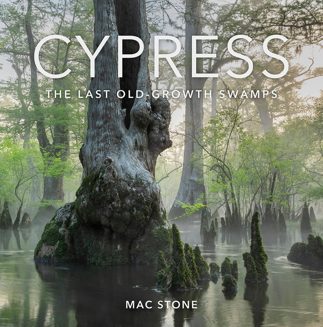 Cypress: The Last Old-Growth Swamps