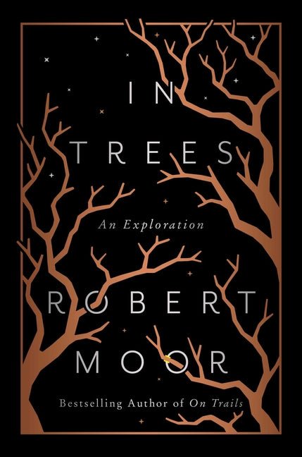 In Trees: An Exploration - Ingram