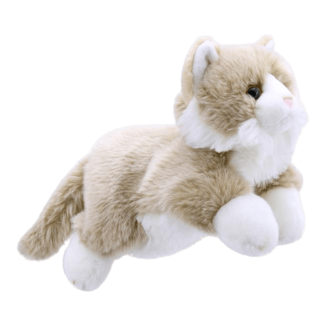 Full-Bodied Beige & White Cat