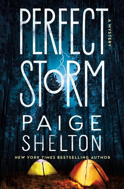 Perfect Storm: A Mystery - Ingram