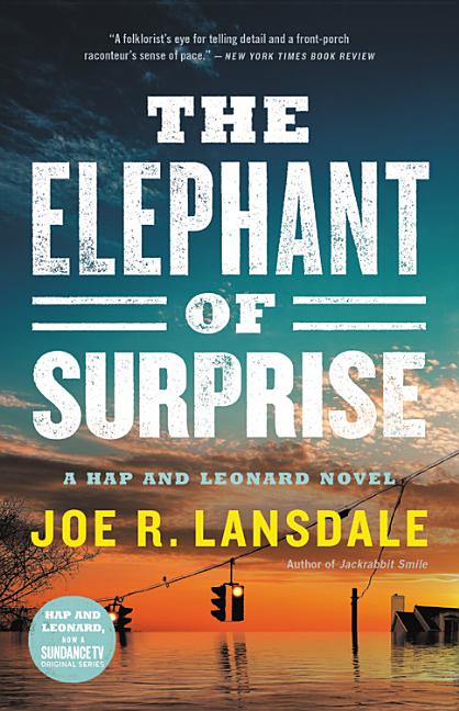 Elephant of Surprise - Ingram