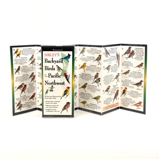 Sibley's Back. Birds of Pacific Northwest - Ingram