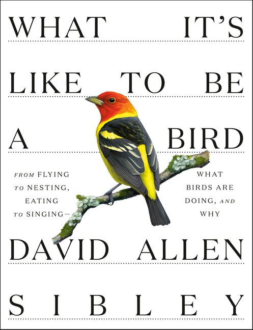 What It's Like to Be a Bird: From Flying to Nesting, Eating to Singing--What Birds Are Doing, and Why - Ingram