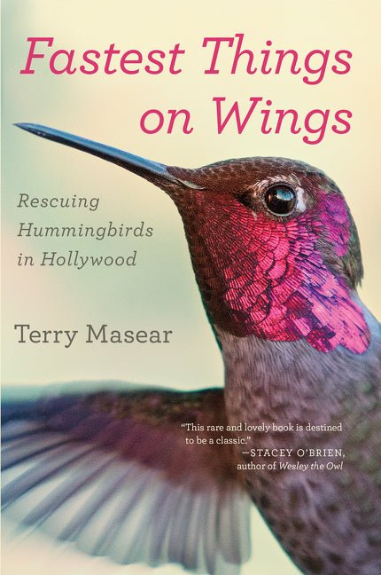 Fastest Things on Wings: Rescuing Hummingbirds in Hollywood - Ingram