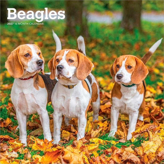 Beagles 2027 12 X 24 Inch (Hanging) Monthly Square Wall Calendar Plastic-Free - Ingram