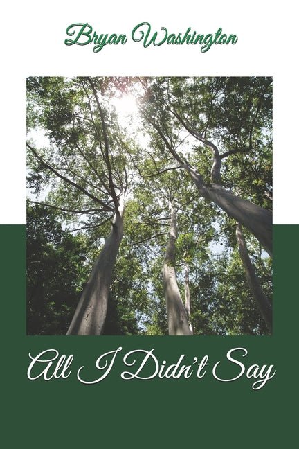 All I Didn't Say - Ingram