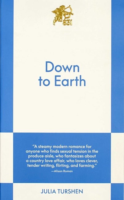 Down to Earth: An 831 Stories Romance - Ingram