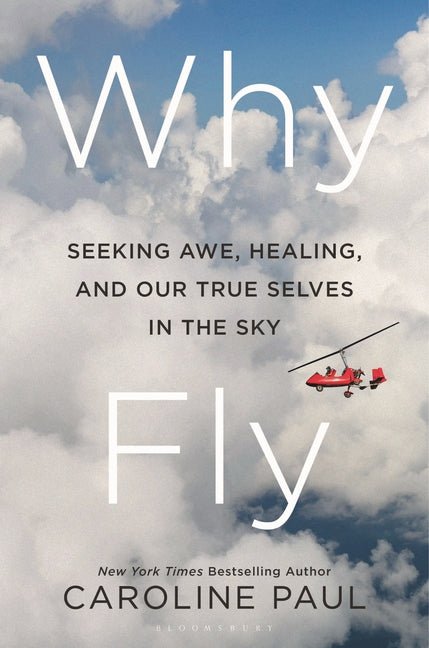 Why Fly: Seeking Awe, Healing, and Our True Selves in the Sky - Ingram