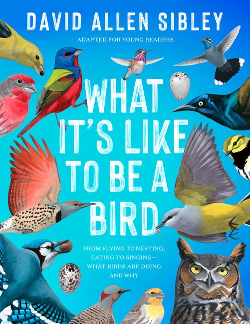 What It's Like to Be a Bird (Adapted for Young Readers): From Flying to Nesting, Eating to Singing--What Birds Are Doing and Why - Ingram
