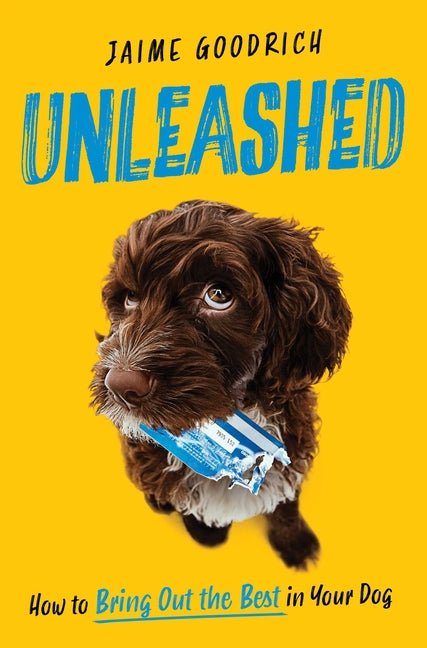 Unleashed: How to Bring Out the Best in Your Dog