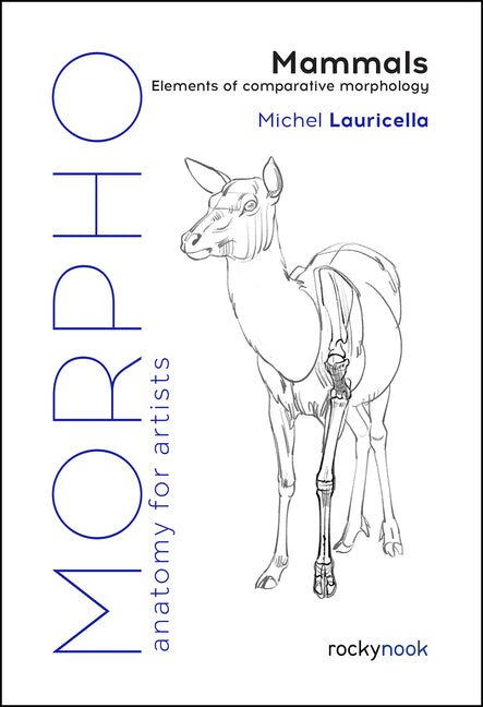 Morpho: Mammals: Elements of Comparative Morphology - Ingram
