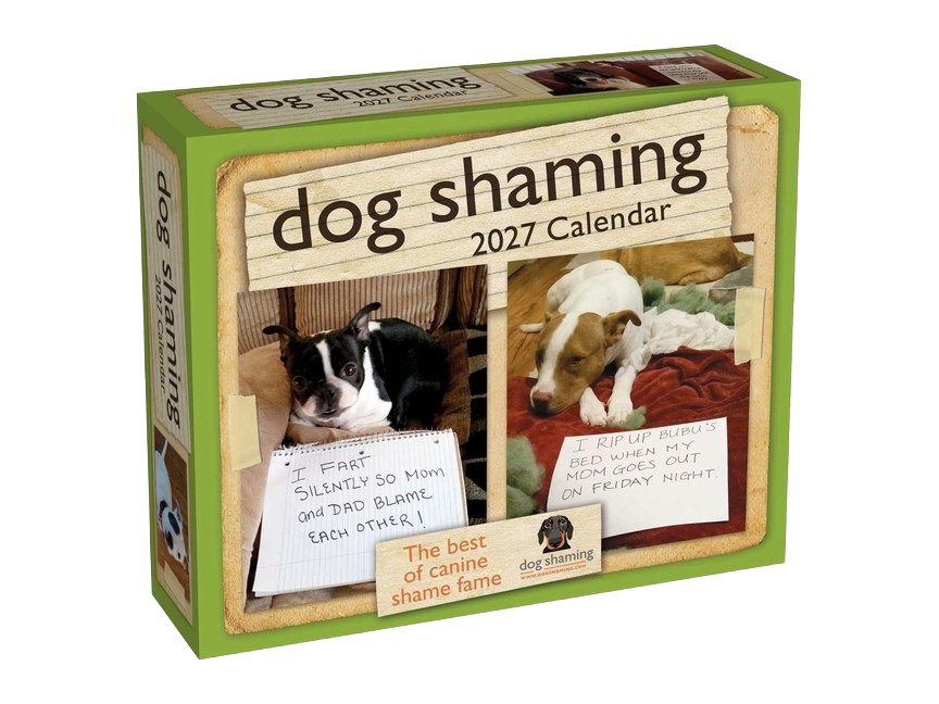 Dog Shaming 2027 Day-To-Day Calendar