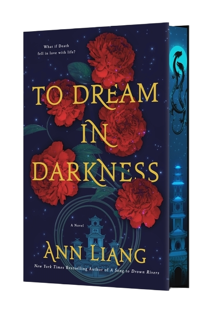 To Dream in Darkness