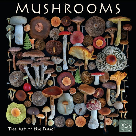 2026 Mushrooms: The Art of the Fungi Wall Calendar - Ingram