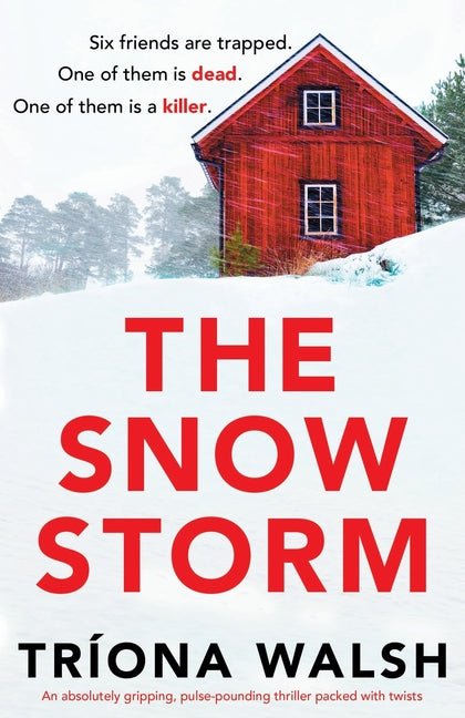 Snowstorm: An absolutely gripping, pulse-pounding thriller packed with twists - Ingram
