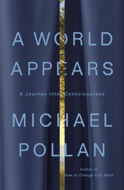 World Appears: A Journey Into Consciousness - Ingram