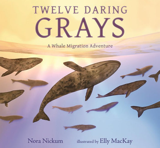 Twelve Daring Grays: A Whale Migration Adventure - Ingram