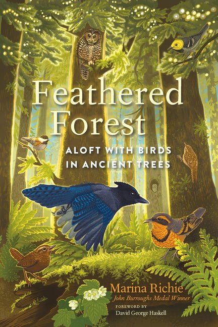 Feathered Forest: Aloft with Birds in Ancient Trees - Ingram