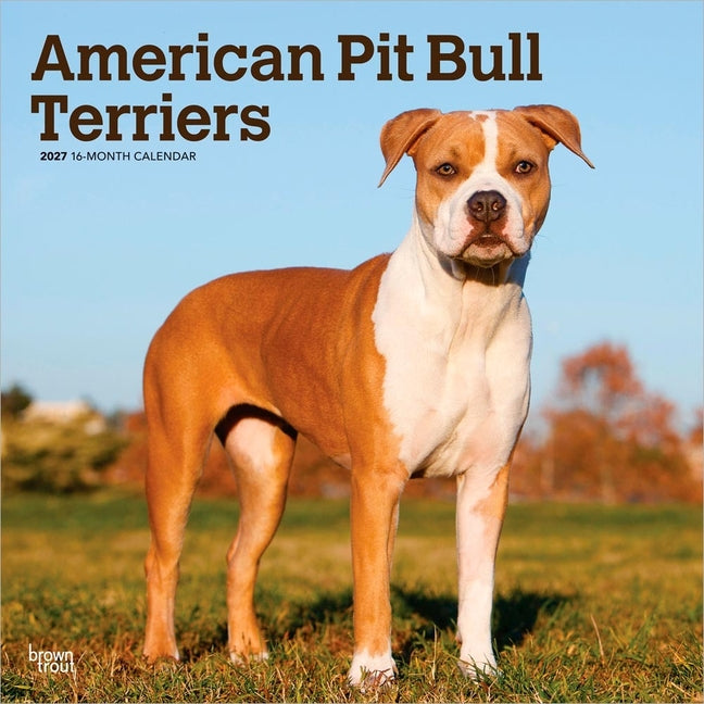 American Pit Bull Terriers 2027 12 X 24 Inch (Hanging) Monthly Square Wall Calendar Plastic-Free - Ingram