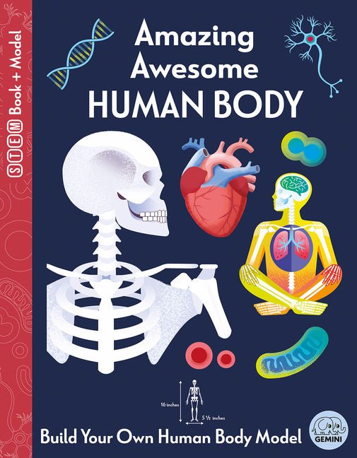 Amazing Awesome Human Body - Ingram