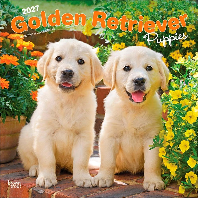 Golden Retriever Puppies 2027 12 X 24 Inch (Hanging) Monthly Square Wall Calendar Plastic-Free - Ingram