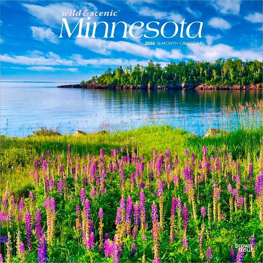 Minnesota Wild & Scenic 2026 12 X 24 Inch (Hanging) Monthly Square Wall Calendar Plastic-Free - Ingram
