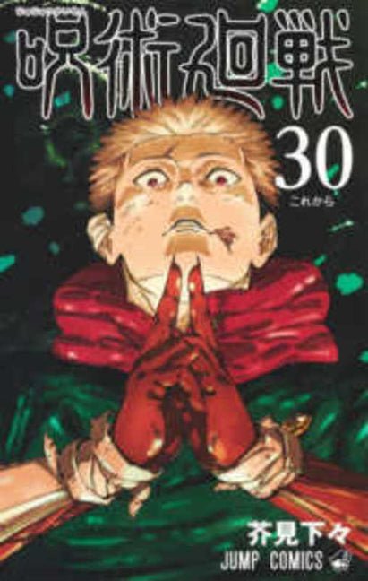 Jujutsu Kaisen 30 - Ingram