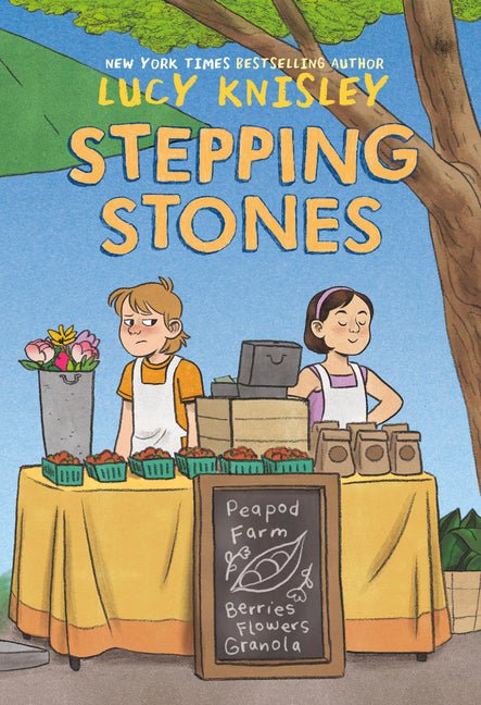 Stepping Stones: (A Graphic Novel) - Ingram
