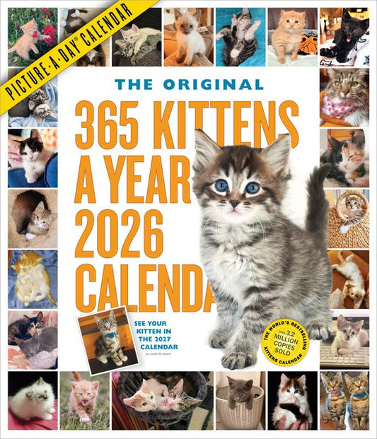 365 Kittens-A-Year Picture-A-Day(r) Wall Calendar 2026 - Ingram