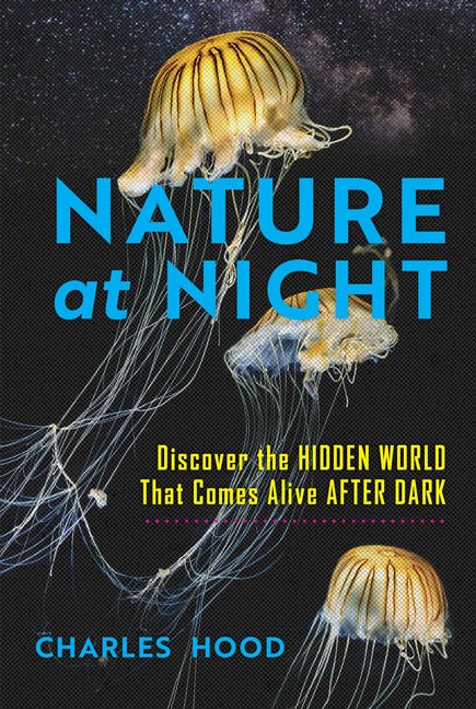 Nature at Night: Discover the Hidden World That Comes Alive After Dark - Ingram
