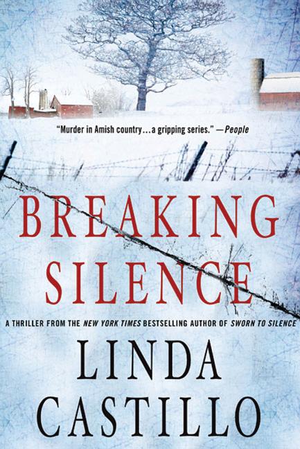 Breaking Silence: A Kate Burkholder Novel - Ingram