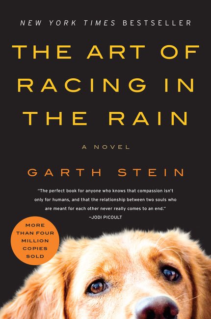 Art of Racing in the Rain - Ingram