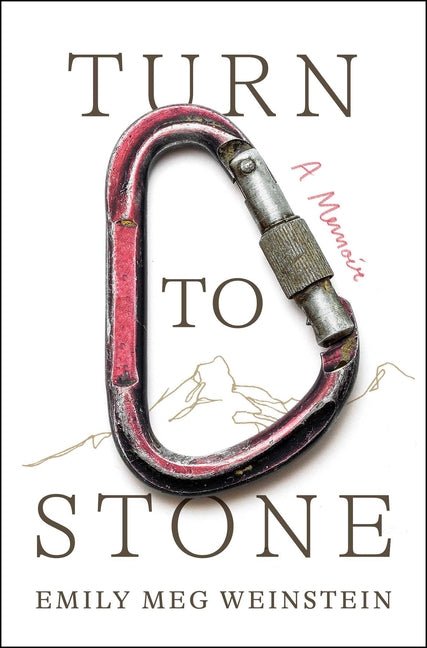 Turn to Stone: A Memoir - Ingram