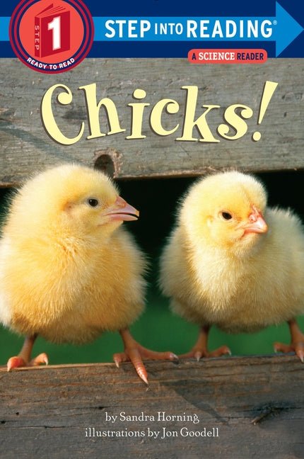 Chicks! - Ingram