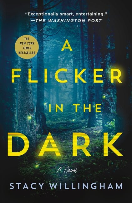 Flicker in the Dark - Ingram