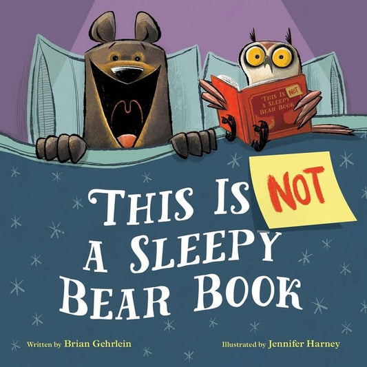 This Is Not a Sleepy Bear Book - Ingram