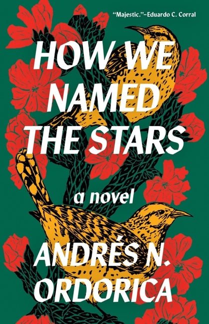 How We Named the Stars - Ingram
