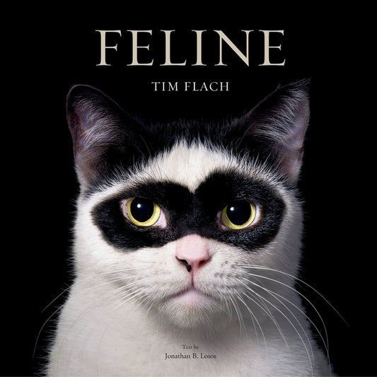 Feline: Photographs - Ingram