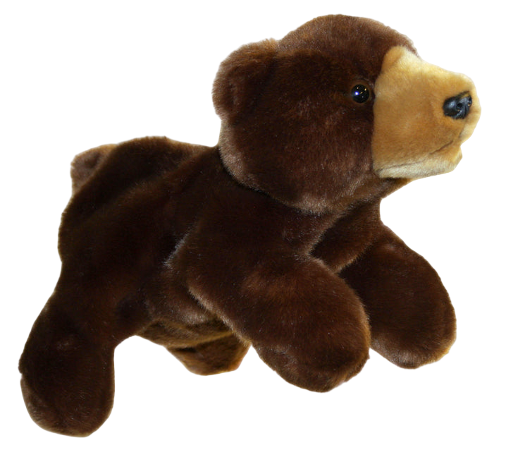 Brown teddy bear on a transparent background